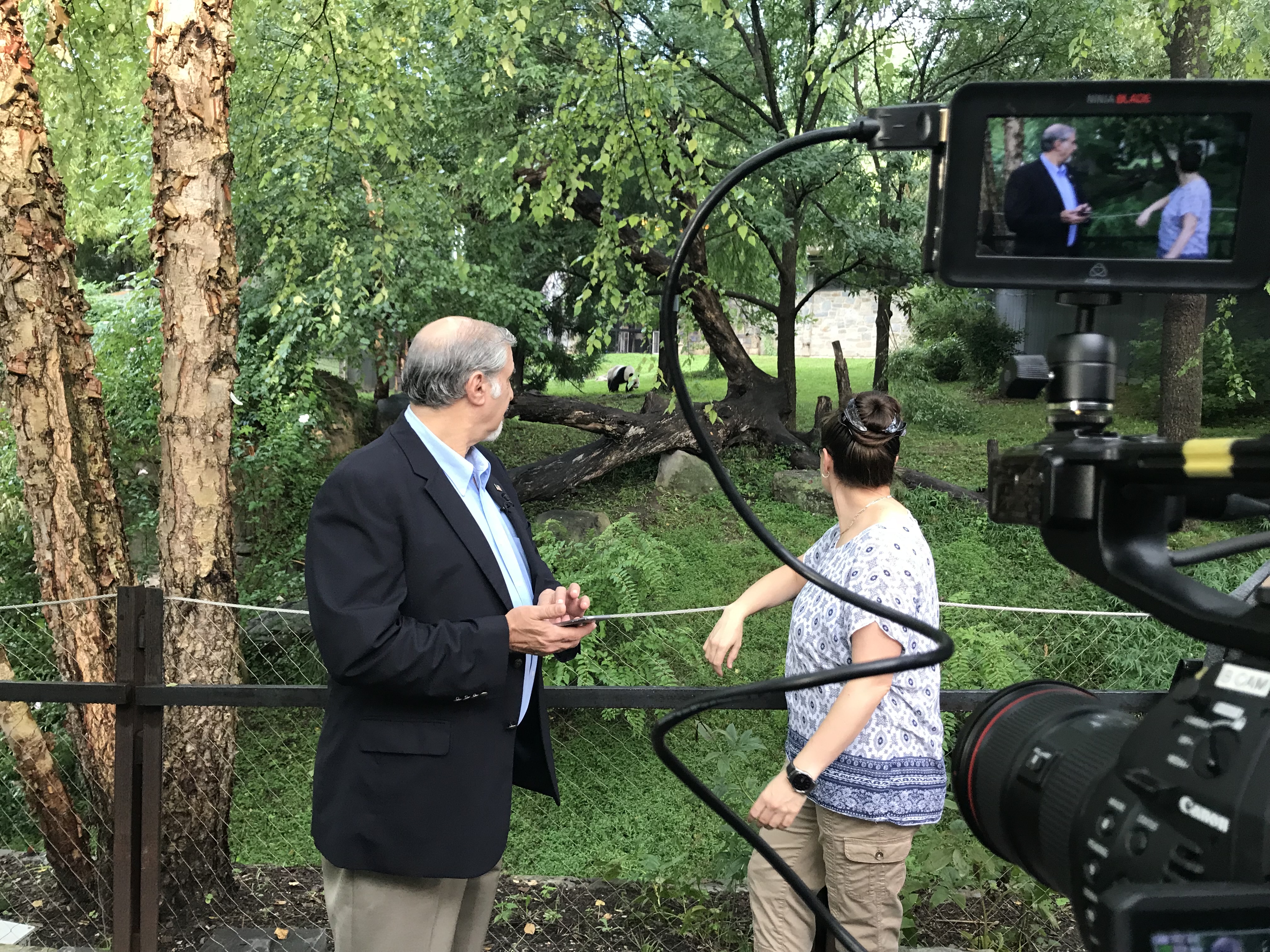 Gallery still IMG 3049